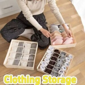 Underwear Bra Socks Storage Box Cabinet Drawer Organizer Scarf Wardrobe Clothing 260527