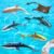 RC Shark Spray Water Electric Whale Kids Toy Remote Control Dolphin Animal Bath Tub Pool Simulation Submarine Fish Swimming Game 260603
