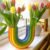 2026 Vases Modern Rainbow Vase Banana Resin perfume Ornament cologne Creative U Shape Flower Pot Table Centerpieces For Living Room Office Home Decor 231116 Fre Q260