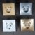 Dual USB Port Wall Charger Adapter Charging 2A Wall Charger Adapter EU Plug Socket Power Outlet 5V2A LW3-01 wood color